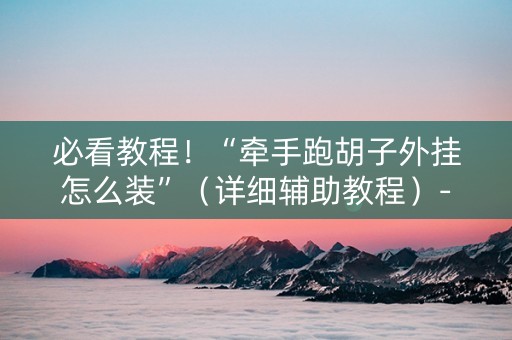 必看教程！“牵手跑胡子外挂怎么装”（详细辅助教程）-哔哩哔哩
