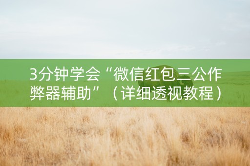 3分钟学会“微信红包三公作弊器辅助”（详细透视教程）-哔哩哔哩