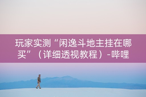玩家实测“闲逸斗地主挂在哪买”（详细透视教程）-哔哩哔哩