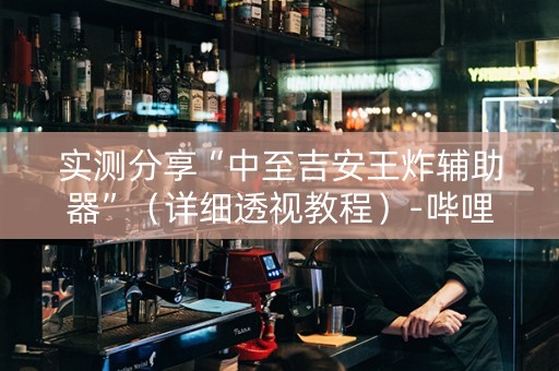实测分享“中至吉安王炸辅助器”（详细透视教程）-哔哩哔哩