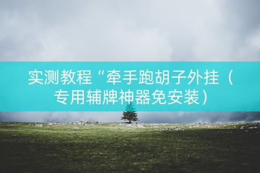 实测教程“牵手跑胡子外挂（专用辅牌神器免安装）