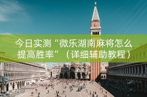 今日实测“微乐湖南麻将怎么提高胜率”（详细辅助教程）-哔哩哔哩