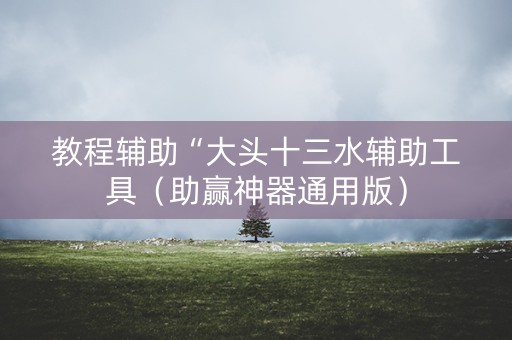 教程辅助“大头十三水辅助工具（助赢神器通用版）