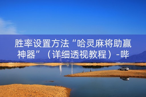 胜率设置方法“哈灵麻将助赢神器”（详细透视教程）-哔哩哔哩