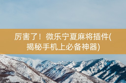 厉害了！微乐宁夏麻将插件(揭秘手机上必备神器)