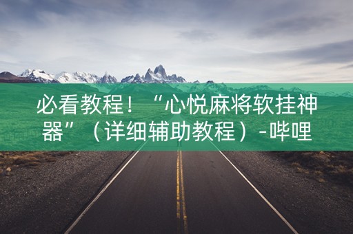 必看教程！“心悦麻将软挂神器”（详细辅助教程）-哔哩哔哩