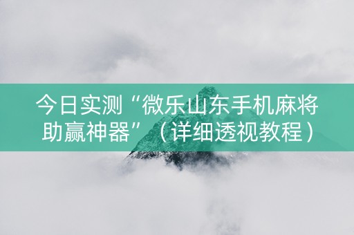 今日实测“微乐山东手机麻将助赢神器”（详细透视教程）-哔哩哔哩