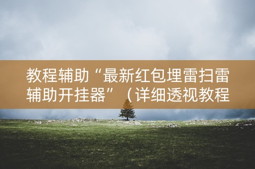教程辅助“最新红包埋雷扫雷辅助开挂器”（详细透视教程）-哔哩哔哩