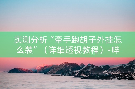 实测分析“牵手跑胡子外挂怎么装”（详细透视教程）-哔哩哔哩