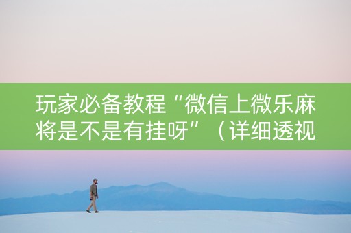 玩家必备教程“微信上微乐麻将是不是有挂呀”（详细透视教程）-哔哩哔哩