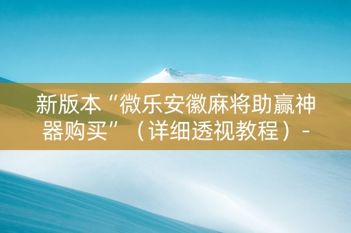 新版本“微乐安徽麻将助赢神器购买”（详细透视教程）-哔哩哔哩