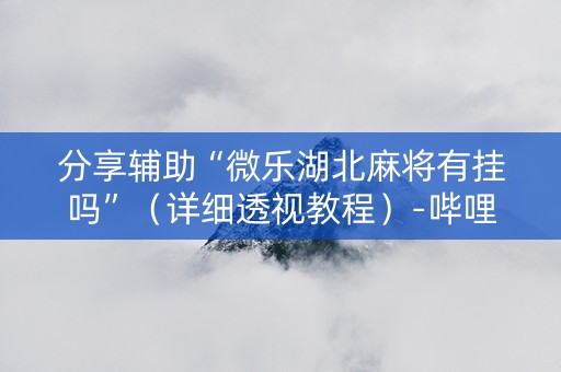 分享辅助“微乐湖北麻将有挂吗”（详细透视教程）-哔哩哔哩