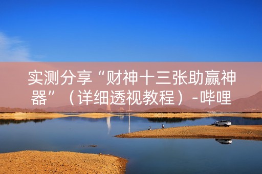 实测分享“财神十三张助赢神器”（详细透视教程）-哔哩哔哩