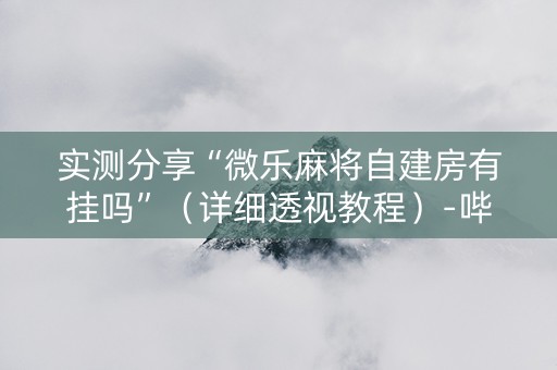实测分享“微乐麻将自建房有挂吗”（详细透视教程）-哔哩哔哩