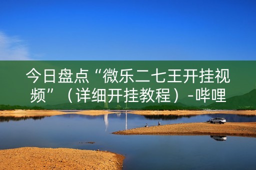 今日盘点“微乐二七王开挂视频”（详细开挂教程）-哔哩哔哩