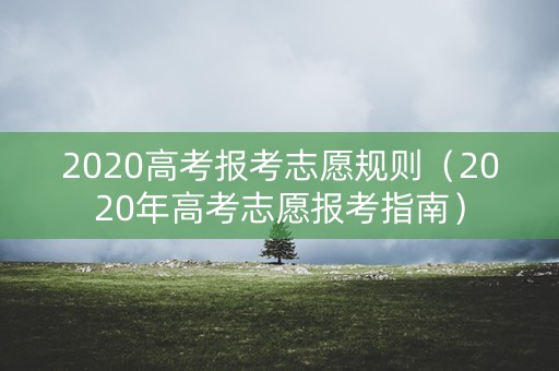 2020高考报考志愿规则（2020年高考志愿报考指南）
