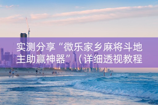 实测分享“微乐家乡麻将斗地主助赢神器”（详细透视教程）-哔哩哔哩