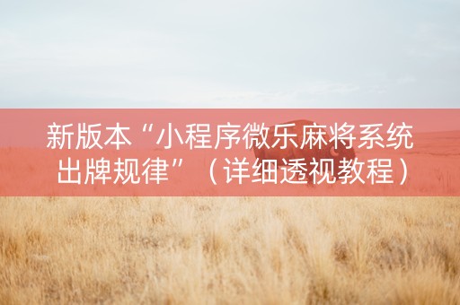 新版本“小程序微乐麻将系统出牌规律”（详细透视教程）-哔哩哔哩