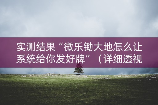 实测结果“微乐锄大地怎么让系统给你发好牌”（详细透视教程）-哔哩哔哩