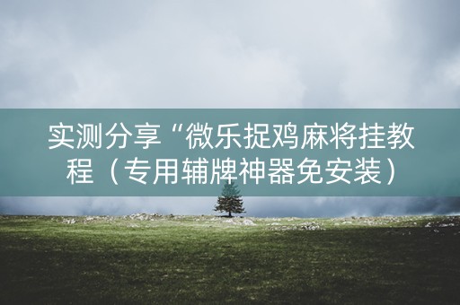实测分享“微乐捉鸡麻将挂教程（专用辅牌神器免安装）