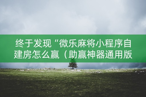 终于发现“微乐麻将小程序自建房怎么赢（助赢神器通用版）