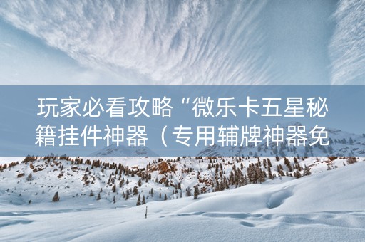 玩家必看攻略“微乐卡五星秘籍挂件神器（专用辅牌神器免安装）