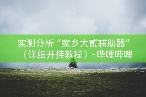 实测分析“家乡大贰辅助器”（详细开挂教程）-哔哩哔哩