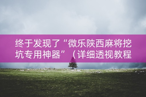 终于发现了“微乐陕西麻将挖坑专用神器”（详细透视教程）-哔哩哔哩