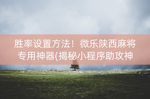 胜率设置方法！微乐陕西麻将专用神器(揭秘小程序助攻神器)