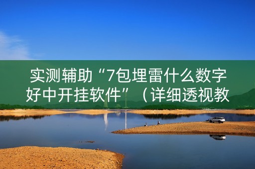 实测辅助“7包埋雷什么数字好中开挂软件”（详细透视教程）-哔哩哔哩