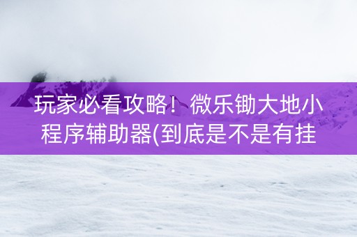 玩家必看攻略！微乐锄大地小程序辅助器(到底是不是有挂)