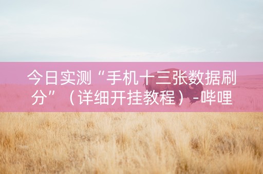 今日实测“手机十三张数据刷分”（详细开挂教程）-哔哩哔哩
