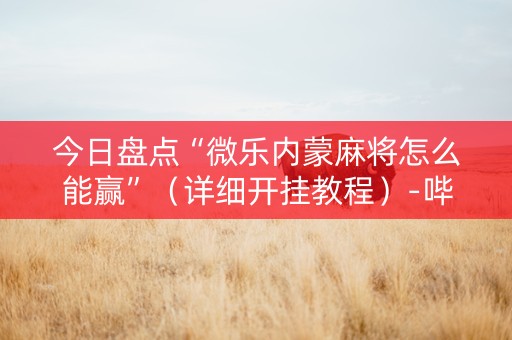 今日盘点“微乐内蒙麻将怎么能赢”（详细开挂教程）-哔哩哔哩