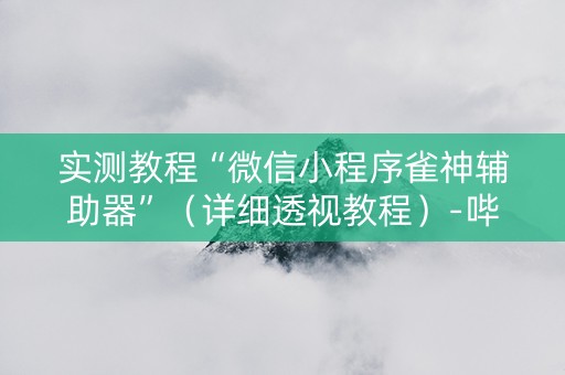 实测教程“微信小程序雀神辅助器”（详细透视教程）-哔哩哔哩