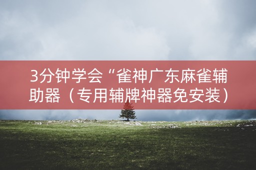3分钟学会“雀神广东麻雀辅助器（专用辅牌神器免安装）
