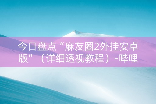 今日盘点“麻友圈2外挂安卓版”（详细透视教程）-哔哩哔哩