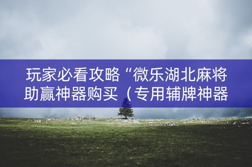 玩家必看攻略“微乐湖北麻将助赢神器购买（专用辅牌神器免安装）