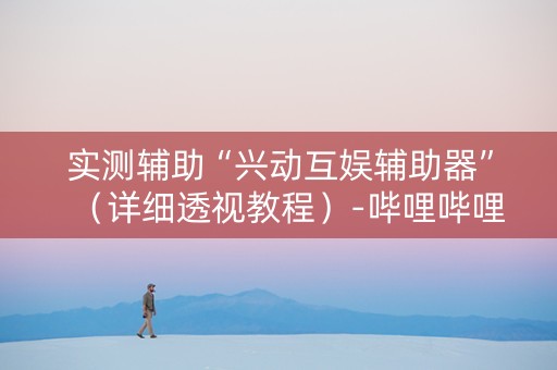 实测辅助“兴动互娱辅助器”（详细透视教程）-哔哩哔哩
