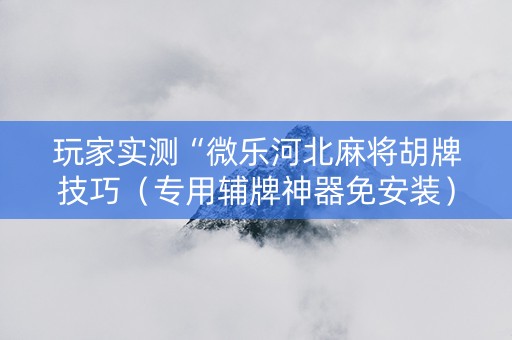 玩家实测“微乐河北麻将胡牌技巧（专用辅牌神器免安装）