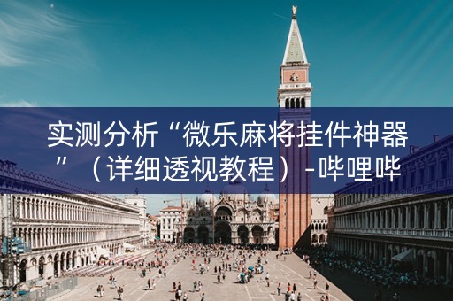 实测分析“微乐麻将挂件神器”（详细透视教程）-哔哩哔哩