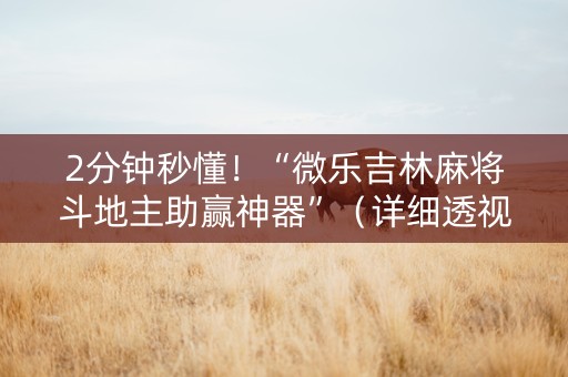 2分钟秒懂！“微乐吉林麻将斗地主助赢神器”（详细透视教程）-哔哩哔哩