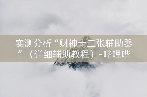 实测分析“财神十三张辅助器”（详细辅助教程）-哔哩哔哩