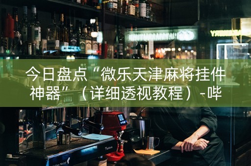 今日盘点“微乐天津麻将挂件神器”（详细透视教程）-哔哩哔哩