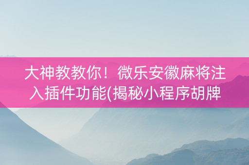 大神教教你！微乐安徽麻将注入插件功能(揭秘小程序胡牌技巧)