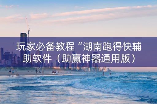 玩家必备教程“湖南跑得快辅助软件（助赢神器通用版）