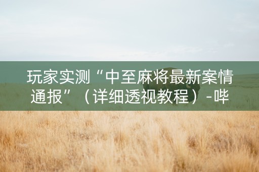 玩家实测“中至麻将最新案情通报”（详细透视教程）-哔哩哔哩