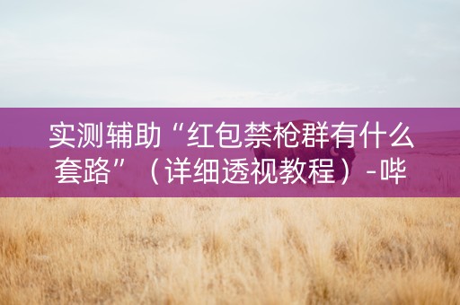 实测辅助“红包禁枪群有什么套路”（详细透视教程）-哔哩哔哩