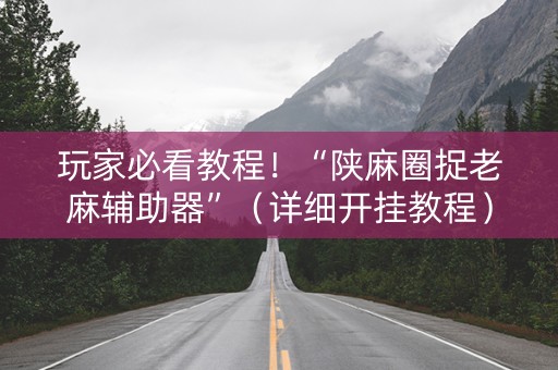 玩家必看教程！“陕麻圈捉老麻辅助器”（详细开挂教程）-哔哩哔哩