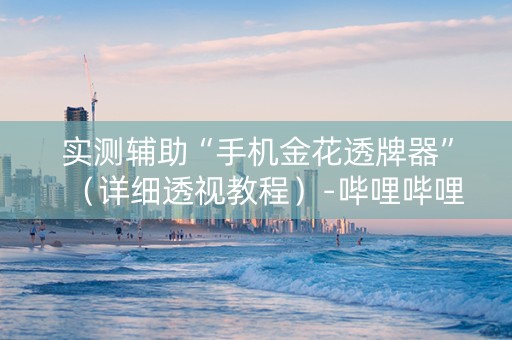 实测辅助“手机金花透牌器”（详细透视教程）-哔哩哔哩