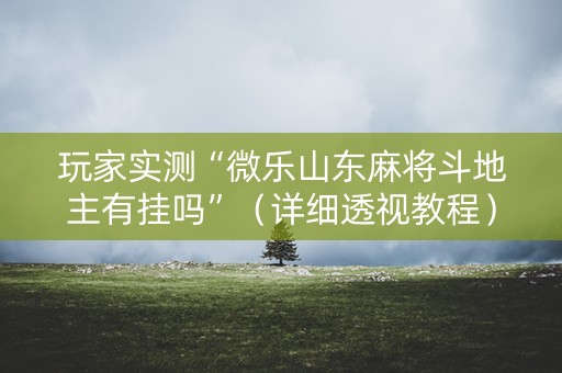 玩家实测“微乐山东麻将斗地主有挂吗”（详细透视教程）-哔哩哔哩